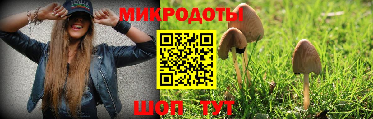 Галлюциногенные грибы Psilocybe  Вход с VPN  Добрянка 
