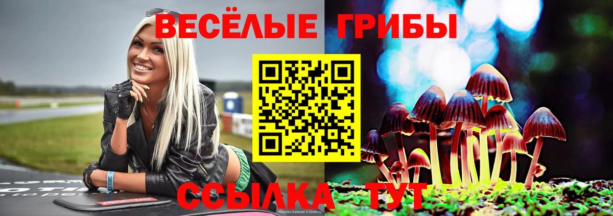 Псилоцибиновые грибы Psilocybine cubensis Добрянка